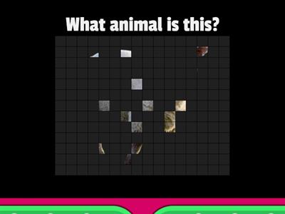 Topic: Animals (Guessing)