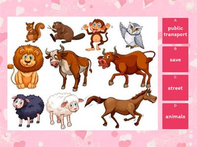 Grade 7 Vocabulary 5d 