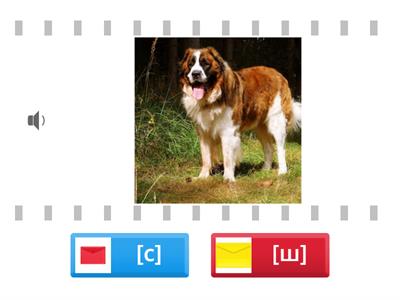  Звуки [с] - [ш] . Животные 