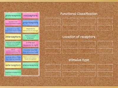 General Sensory Receptors Functions