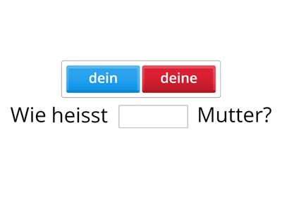 mein/meine, dein/deine