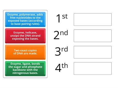 Steps of DNA Replication