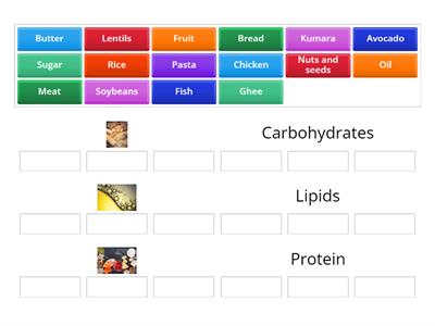 9SCI Food Groups Group Sort