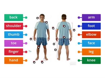 BODY PARTS. Elementary SpeakOut