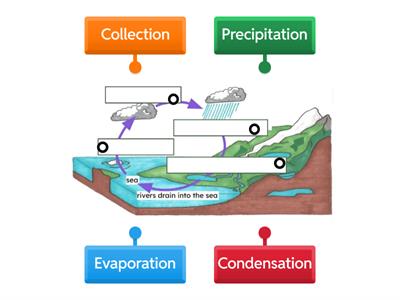 Water Cycle