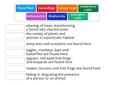 Match up1 Rainforests