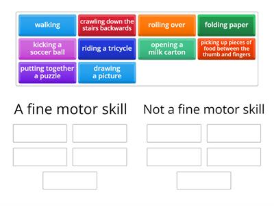 Identify the fine motor skills.