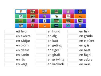 Svenska:  Djur, match pictures to words with indefinite article