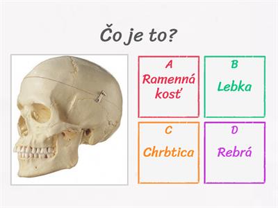 Prvouka - Spoznávame človeka 