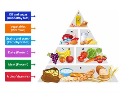 Food Pyramid