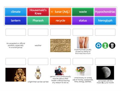Year 7 Trimester 1 Vocabulary