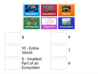 Ecological Levels of Organization