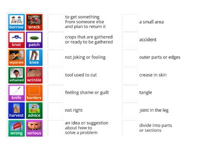 Harvest Birds Vocabulary