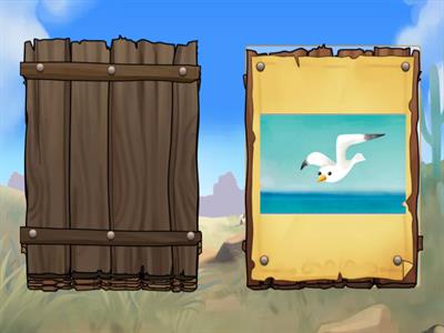 \51talk what can they do