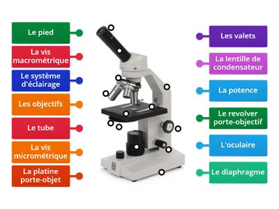 Le microscope