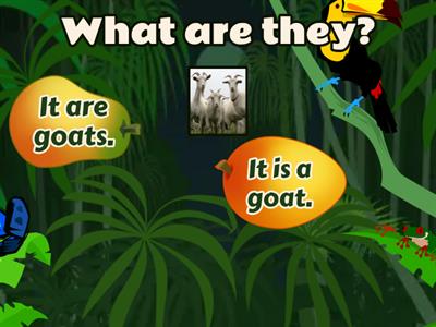 V4 What is it? What are they?