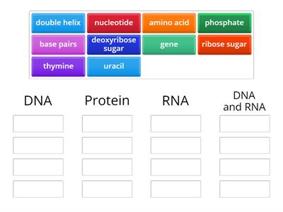 DNA, RNA or Protein?