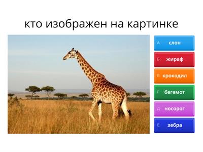 викторина для дошкольников (животные)