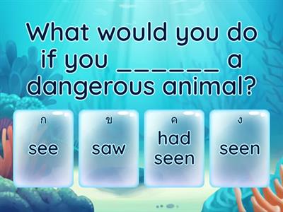 if clause (type 0 1 2 3)