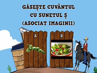 CUVINTE CU SUNETUL Ș; DIFERENȚIERE Ș-S