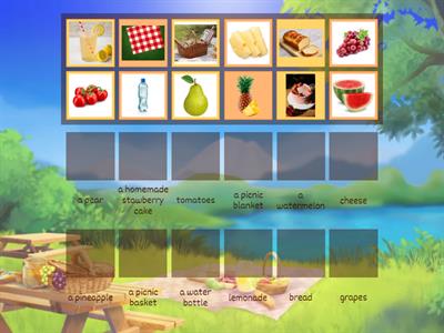 Picnic Vocabulary