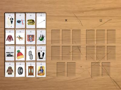 дифференциация ш-ж