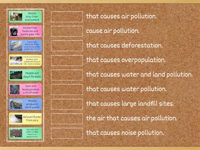 OGE_Speaking_Environmental Problems_7