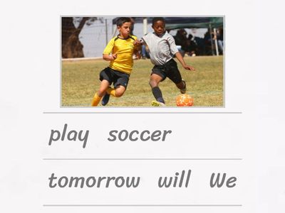 Future simple tense (will)