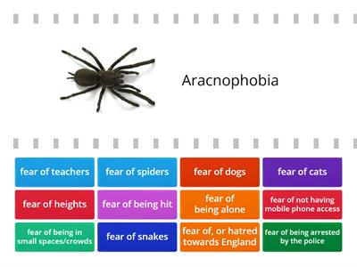 Phobias