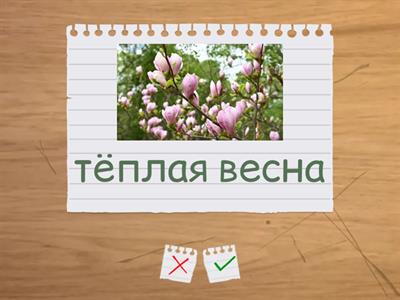 Времена года