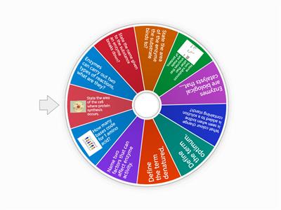 Enzyme spin the wheel quiz