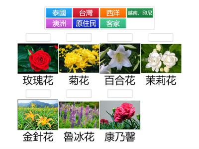 各國母親節代表花配對