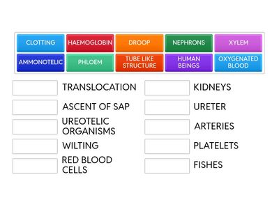 TRANSPORTATION AND EXCRETION 