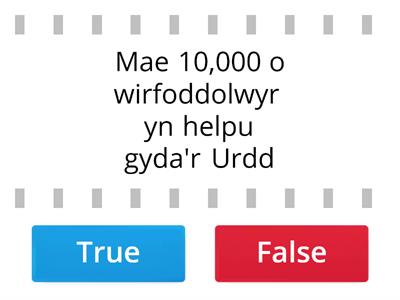 Cwis yr Urdd