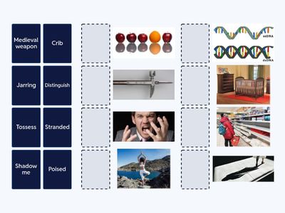  Emily in Paris (Season 4, Episode 7) - Pictures 