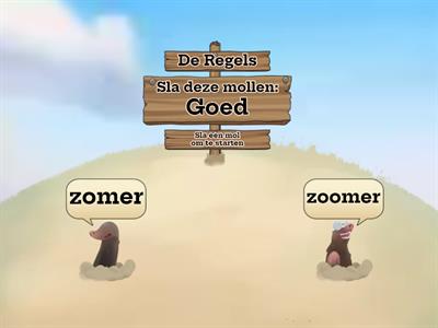 Welke woorden zijn goed?