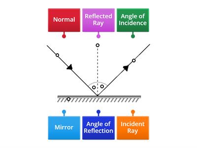 Reflection Diagram