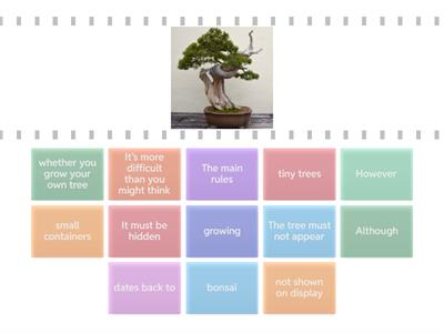 PET Test 1 part 1 part 5