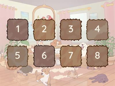 Развитие на животните - Обобщение  (БЕ / АЕ)