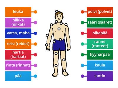 Kehonosat etupuoli