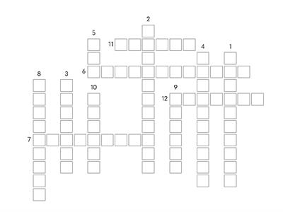 Review Basic 1 Vocabulary 