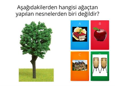 AĞAÇTAN YAPILAN NESNELER