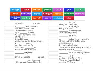 EFL 5 Language Arts mid 