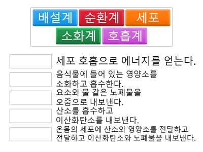 세포호흡에서 역할