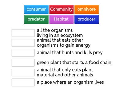  key term revision (Life on earth)