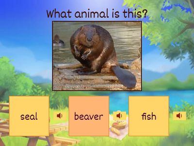 Changes to the environment - G1 Science