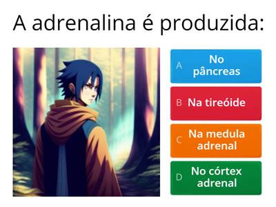 SISTEMA ADRENÉRGICO - ENDOGAMES