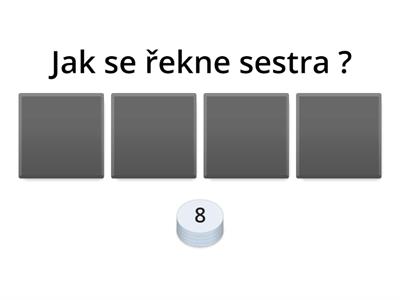 Family quiz anglický jazyk
