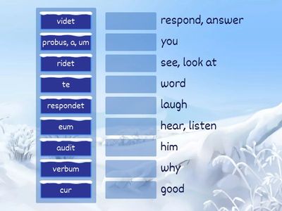 7th Grade Chapter 3 Vocabulary