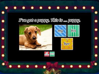Possessive adjectives + plurals